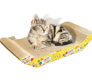 Rascadores De Carton Puente