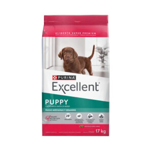 Excellent Perro Puppy Raza Mediana - Grande 17 Kg