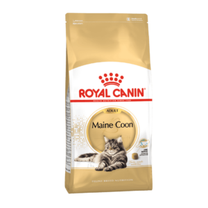 Royal Canin Gato Maine Coon Adulto 4 kg